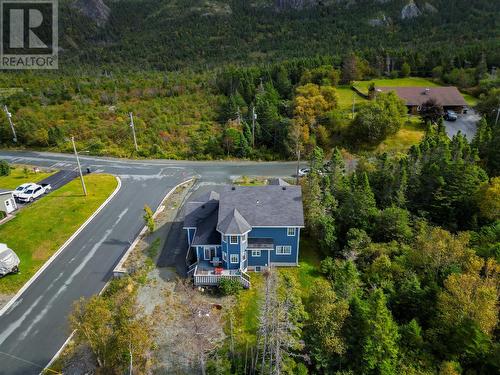 326 Dunn'S Hill Road, Conception Bay South, NL - Outdoor With View