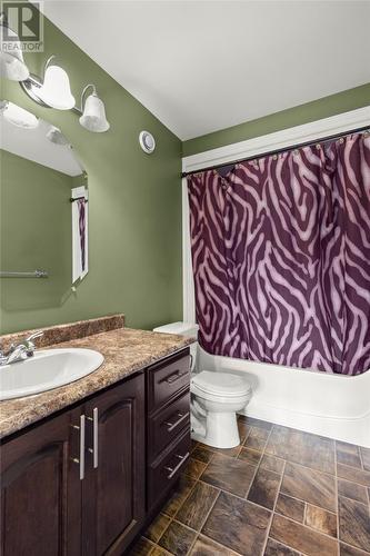 326 Dunn'S Hill Road, Conception Bay South, NL - Indoor Photo Showing Bathroom