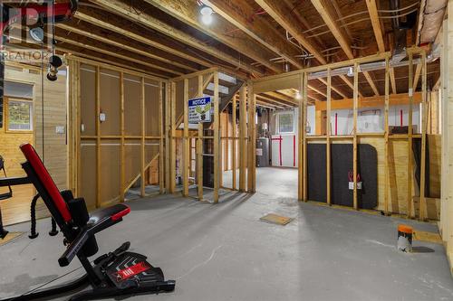 326 Dunn'S Hill Road, Conception Bay South, NL - Indoor Photo Showing Basement