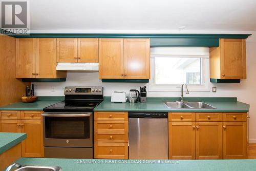 46 Piers Crescent, London, ON - Indoor Photo Showing Kitchen With Double Sink