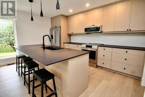 179048 Grey Road 17 Road, Georgian Bluffs, ON - Indoor Photo Showing Kitchen With Double Sink