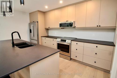 179048 Grey Road 17 Road, Georgian Bluffs, ON - Indoor Photo Showing Kitchen With Double Sink