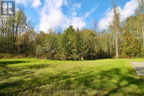 179048 Grey Road 17 Road, Georgian Bluffs, ON - Outdoor With View