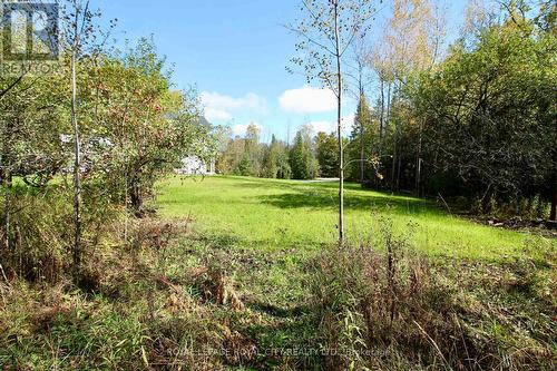 179048 Grey Road 17 Road, Georgian Bluffs, ON - Outdoor With View