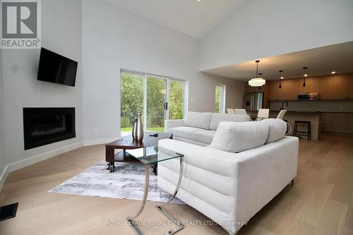 179048 Grey Road 17 Road, Georgian Bluffs, ON - Indoor Photo Showing Living Room With Fireplace