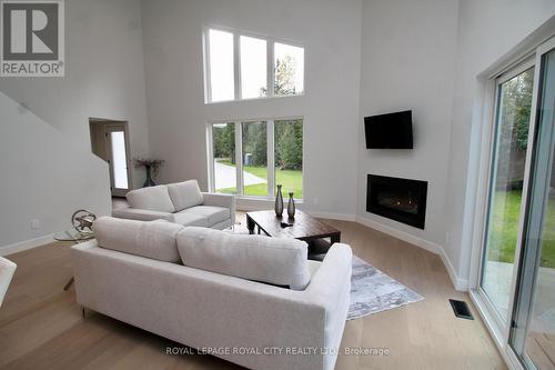 179048 Grey Road 17 Road, Georgian Bluffs, ON - Indoor Photo Showing Living Room With Fireplace