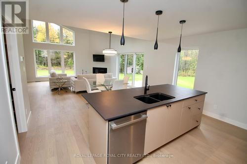 179048 Grey Road 17 Road, Georgian Bluffs, ON - Indoor Photo Showing Kitchen With Double Sink