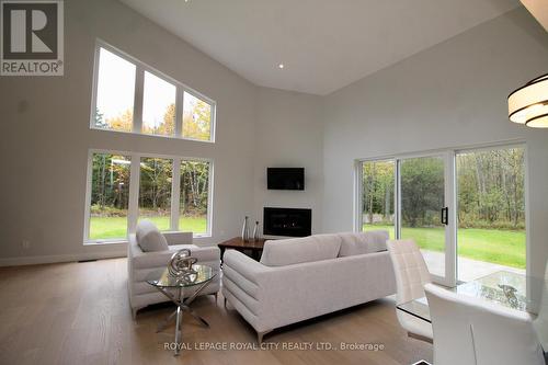 179048 Grey Road 17 Road, Georgian Bluffs, ON - Indoor Photo Showing Living Room With Fireplace