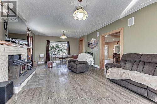 46045 John Wise Line, St. Thomas, ON - Indoor Photo Showing Living Room With Fireplace