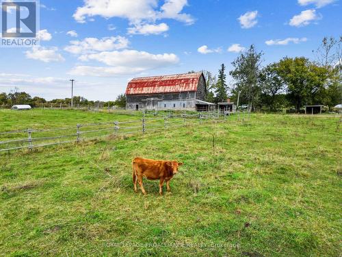 5244 Highway 37, Tweed, ON - Outdoor With View