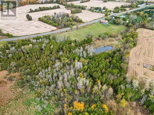 5244 Highway 37, Tweed, ON - Outdoor With View