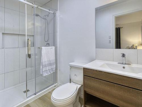 Ensuite bathroom - 252 Ch. Isaac-Grégoire S., La Minerve, QC - Indoor Photo Showing Bathroom