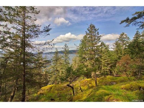 138 Narrows West Rd, Salt Spring, BC 