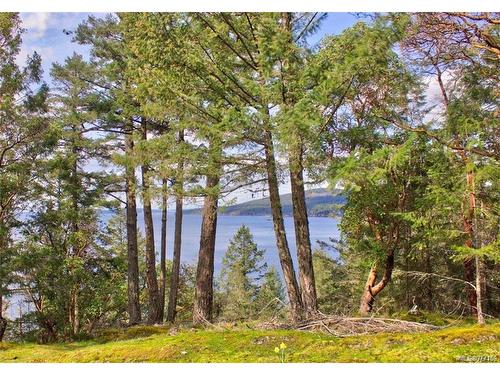 138 Narrows West Rd, Salt Spring, BC 