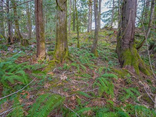 10440 Wilson Rd, Port Alberni, BC 