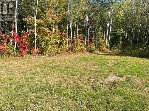 Camp & Lot Brown Road, Sainte-Anne-De-Kent, NB 