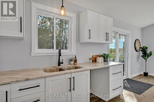 644 Skyline Road, Smith-Ennismore-Lakefield, ON - Indoor Photo Showing Kitchen With Double Sink