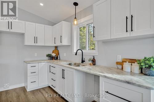 644 Skyline Road, Smith-Ennismore-Lakefield, ON - Indoor Photo Showing Kitchen With Double Sink