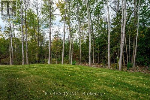 644 Skyline Road, Smith-Ennismore-Lakefield, ON - Outdoor With View