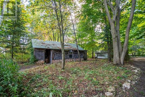 498 Farms Road, Kawartha Lakes (Woodville), ON - Outdoor