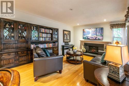 25 Halifax Street, St. John'S, NL - Indoor Photo Showing Living Room With Fireplace