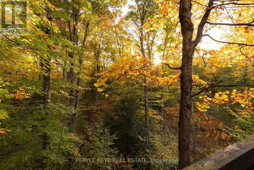 1165 Walker Lake Drive, Huntsville, ON - Outdoor With View