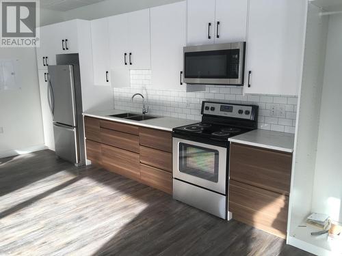 617 Harold Street, Slocan, BC - Indoor Photo Showing Kitchen With Double Sink With Upgraded Kitchen