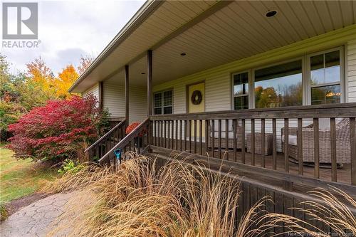 65 Canada Street, Fredericton, NB - Outdoor With Deck Patio Veranda