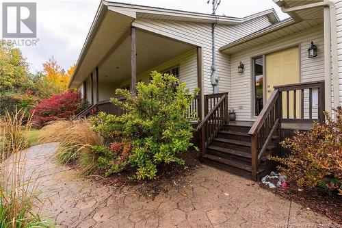 65 Canada Street, Fredericton, NB - Outdoor With Deck Patio Veranda