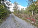 0 Melrose Road, Tyendinaga, ON 