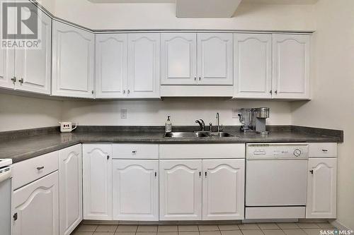 104 2315 Cornwall Street, Regina, SK - Indoor Photo Showing Kitchen With Double Sink