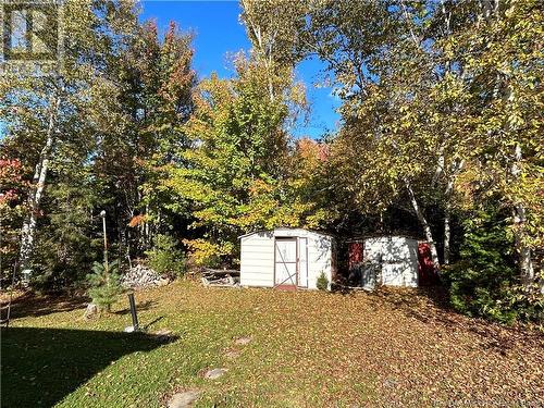 12 Forrest Street, Miramichi, NB - Outdoor