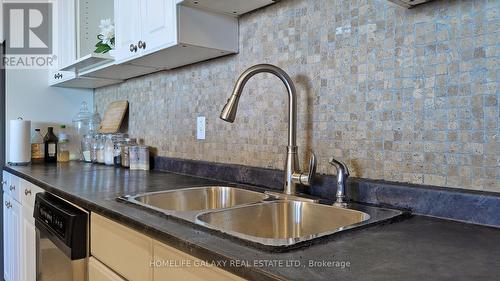 1002 - 2556 Argyle Road, Mississauga, ON - Indoor Photo Showing Kitchen With Double Sink