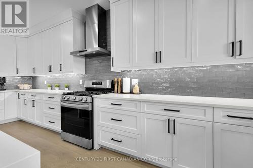 102 Harvest Lane, Dutton/Dunwich (Dutton), ON - Indoor Photo Showing Kitchen With Upgraded Kitchen