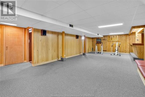 12654 Dillon, Tecumseh, ON - Indoor Photo Showing Basement