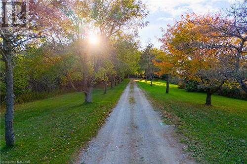 Tree Lined Driveway - 559146 Irish Block Road, Annan, ON - Outdoor