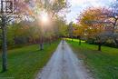 Tree Lined Driveway - 559146 Irish Block Road, Annan, ON  - Outdoor 