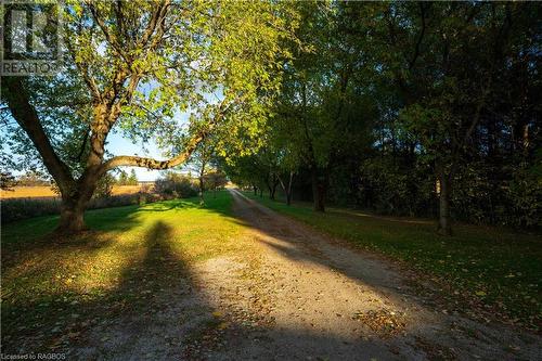 Laneway view to Road - 559146 Irish Block Road, Annan, ON - Outdoor