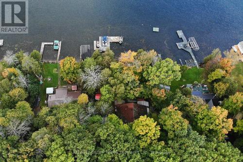 38 Dewey'S Island Road, Kawartha Lakes (Fenelon Falls), ON - Outdoor With Body Of Water With View