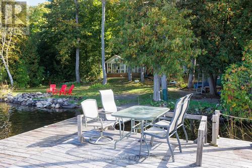 38 Dewey'S Island Road, Kawartha Lakes (Fenelon Falls), ON - Outdoor With Deck Patio Veranda