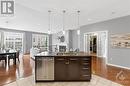 Spacious open-plan living and dining area with elegant lighting, hardwood floors, and a cozy seating area, ideal for family gatherings - 316 Eckerson Avenue, Ottawa, ON  - Indoor Photo Showing Kitchen With Double Sink 