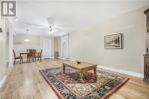 491 Minnesota Street, Collingwood, ON - Indoor Photo Showing Living Room With Fireplace