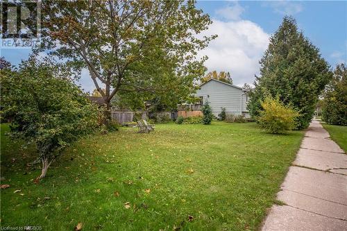 North side yard and patio - 491 Minnesota Street, Collingwood, ON - Outdoor