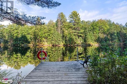 1335 Sherwood Forest Road, Bracebridge, ON - Outdoor With View