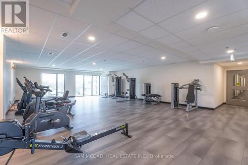 Lp01 - 50 Herrick Avenue, St. Catharines, ON - Indoor Photo Showing Gym Room