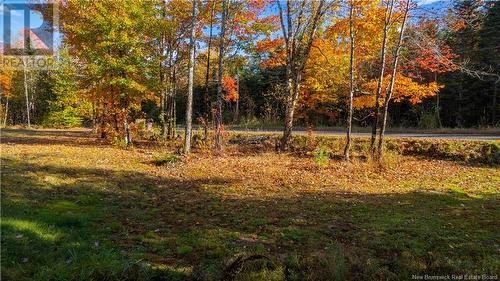 169 Sawyer Road, Tower Hill, NB - Outdoor With View