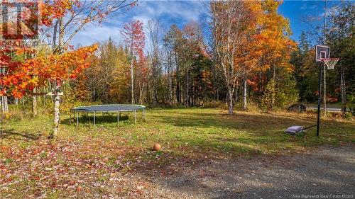 169 Sawyer Road, Tower Hill, NB - Outdoor