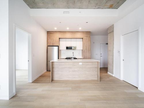 Kitchen - 517-3155 Av. Parkville, Montréal (Mercier/Hochelaga-Maisonneuve), QC - Indoor Photo Showing Kitchen