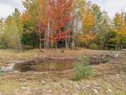 Wooded area - 