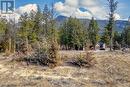 Lot 41 Pedley Heights Drive, Windermere, BC 